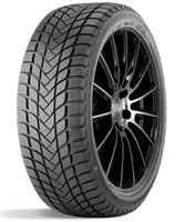 Landsail Winter Lander 185/60 R15 88H