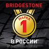 Bridgestone Ecopia EP300 цена