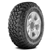 Nexen Roadian MTX RM7